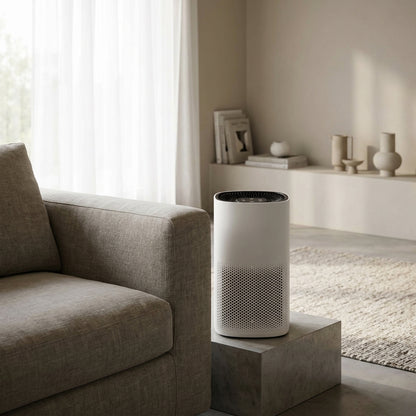 Lufte Air Purifier